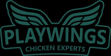 Logo grande PlayWings